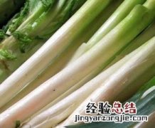 葱的营养价值与功效 葱的营养及功效