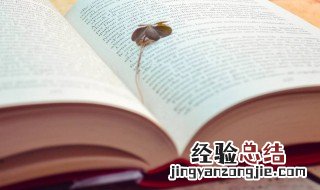 雨的四季主要内容 雨的四季主要内容概括