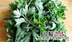 艾草如何深加工 艾草的加工方法