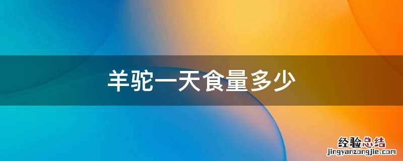 羊驼每天吃什么 羊驼一天食量多少