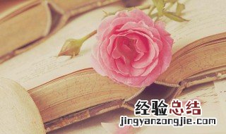 思绪云骞褒义还是贬义 思绪云骞是什么意思