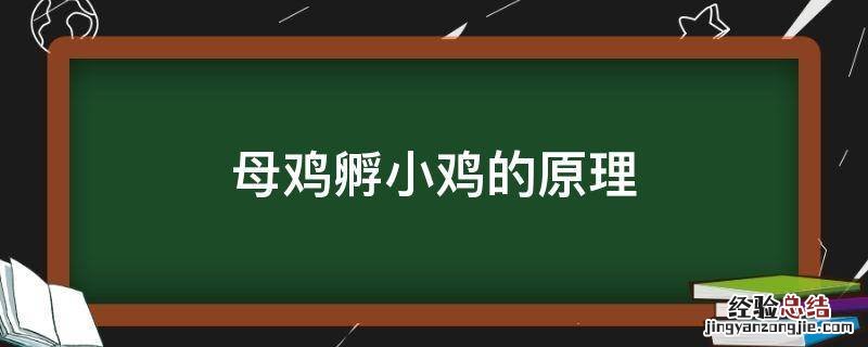 母鸡孵小鸡的原理 母鸡孵小鸡的过程