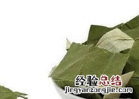 荷叶茶的副作用 纤婕苹果荷叶茶的副作用