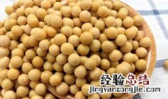 黄豆保质期一般是多久 永不过期的10种食物