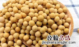 黄豆保质期一般是多久 永不过期的10种食物
