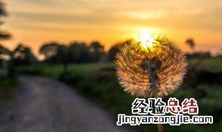 祝福朋友的早安问候语图片 祝福朋友的早安问候语