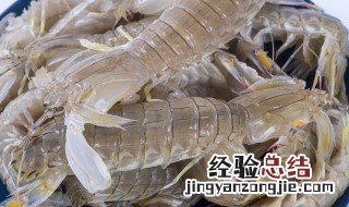活虾放冰箱保鲜可以吗 活虾放在冰箱里怎样保存才够鲜美
