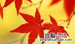 关于秋的诗句 秋的诗句有什么