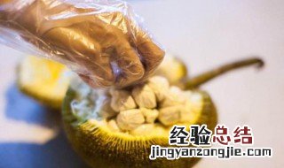 菠萝蜜核哪些人不能吃 菠萝蜜核不适合什么人吃