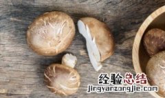 平菇长白毛了还能吃吗 平菇根部长白毛了还能吃吗