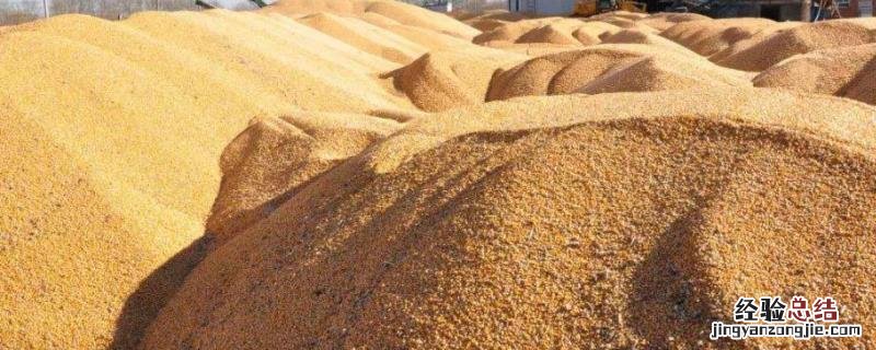 粮食地补什么时候下来，粮食防虫用什么药