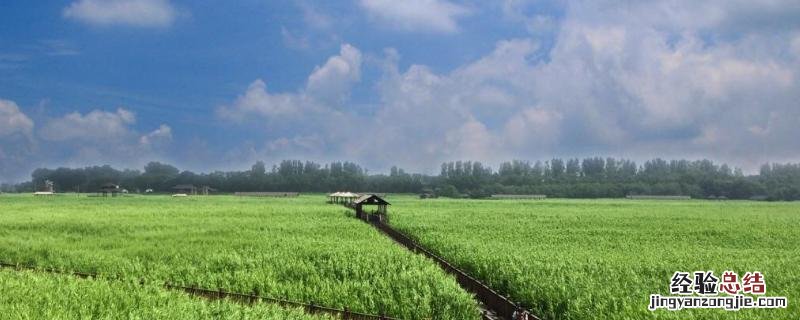 生态效益有哪些，指标包括哪些 生态效益有哪些,指标包括哪些内容