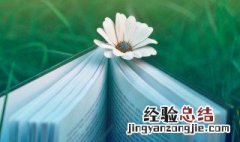 悠哉游哉是什么意思 悠哉悠哉是啥意思