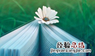 跃然纸上是什么意思 跃然纸上是什么意思?