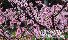 三月是哪一个季节英语 三月是哪一个季节