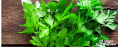 欧芹碎可以用什么代替 欧芹碎有什么用