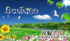 关于夏天的成语 夏天的成语有什么