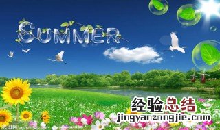 关于夏天的成语 夏天的成语有什么