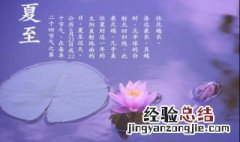 关于夏天的诗句 夏天的诗句有什么