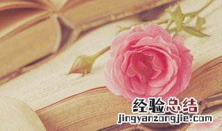 花言巧语是什么意思 花言巧语是什么意思?
