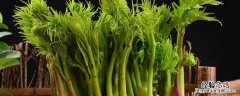 新鲜刺老芽能放冰箱几天 刺嫩芽放冰箱能保存多久