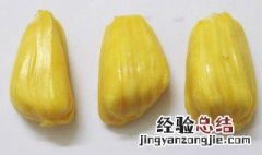 菠萝蜜的核可以种吗 菠萝蜜的核能种吗?