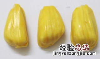 菠萝蜜的核可以种吗 菠萝蜜的核能种吗?