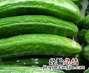 小乳瓜图片 小乳瓜百度百科