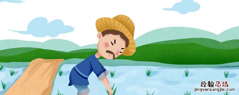徐光启的农学著作是什么 建立了一个比较完整的农学体系的农书是徐光启的什么