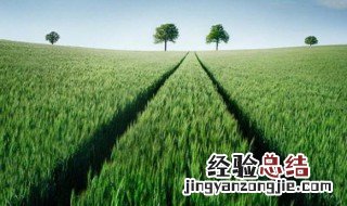奋斗激发人心励志短句中考 奋斗激发人心励志短句