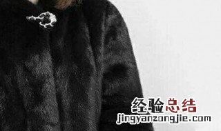 貂什么季节买最好 貂什么季节买最好最便宜