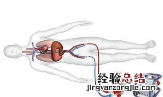 ecmo是什么意思 ecmo是什么