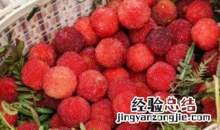 杨梅的季节到几月份 杨梅几月份是季节
