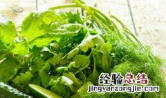 豆腐和菠菜能在一块儿吃吗 豆腐和菠菜能一起吃吗?为什么?