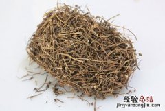 海风藤 海风藤与伸筋草一起能治什么