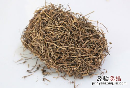 海风藤 海风藤与伸筋草一起能治什么