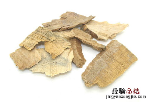 松节 松节油