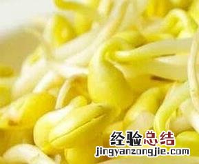 黄豆芽的营养价值与功效与作用 黄豆芽的营养价值与功效