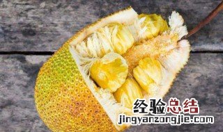 菠萝蜜的果肉直接食用吗 菠萝蜜的果肉直接食用吗