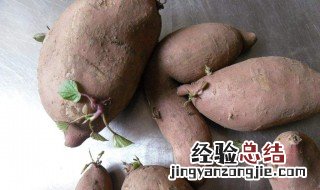番薯放久了有点发芽了还能吃吗有毒吗 番薯放久了有点发芽了还能吃吗
