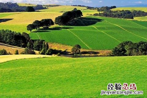 五种农业地域类型 五种农业地域类型特点