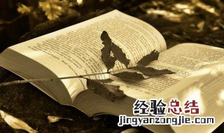 不足恃的解释 不足恃意思是