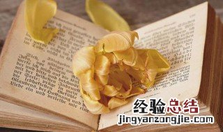 气象观测场是什么意思 气象局观测场