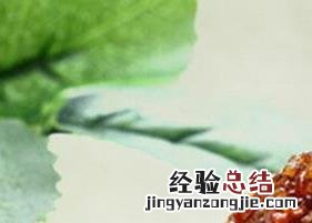 黑苦荞的功效与作用吃法 黑苦荞的功效与作用