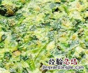 苜蓿的多种做法及吃法 苜蓿的做法大全