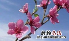 春分属于什么季节的节日 春分属于什么季节