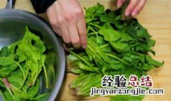 吃完菠菜千万别碰5种食物 菠菜搭配什么一起吃最好