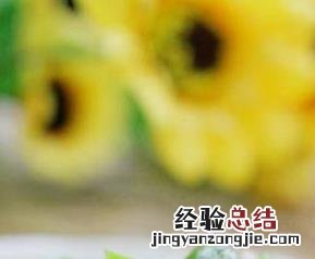 青椒肉丝的做法英文版 青椒肉丝的做法
