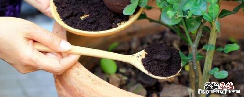 复合肥的最佳使用方法,可以兑水浇花吗