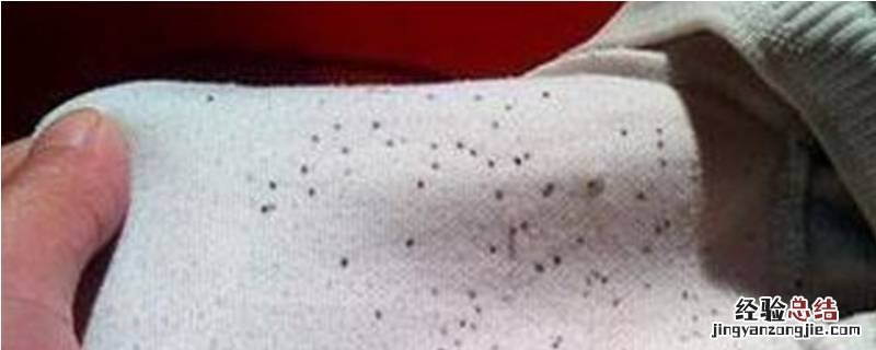 霉点衣服怎么洗干净 霉点的衣服怎么洗